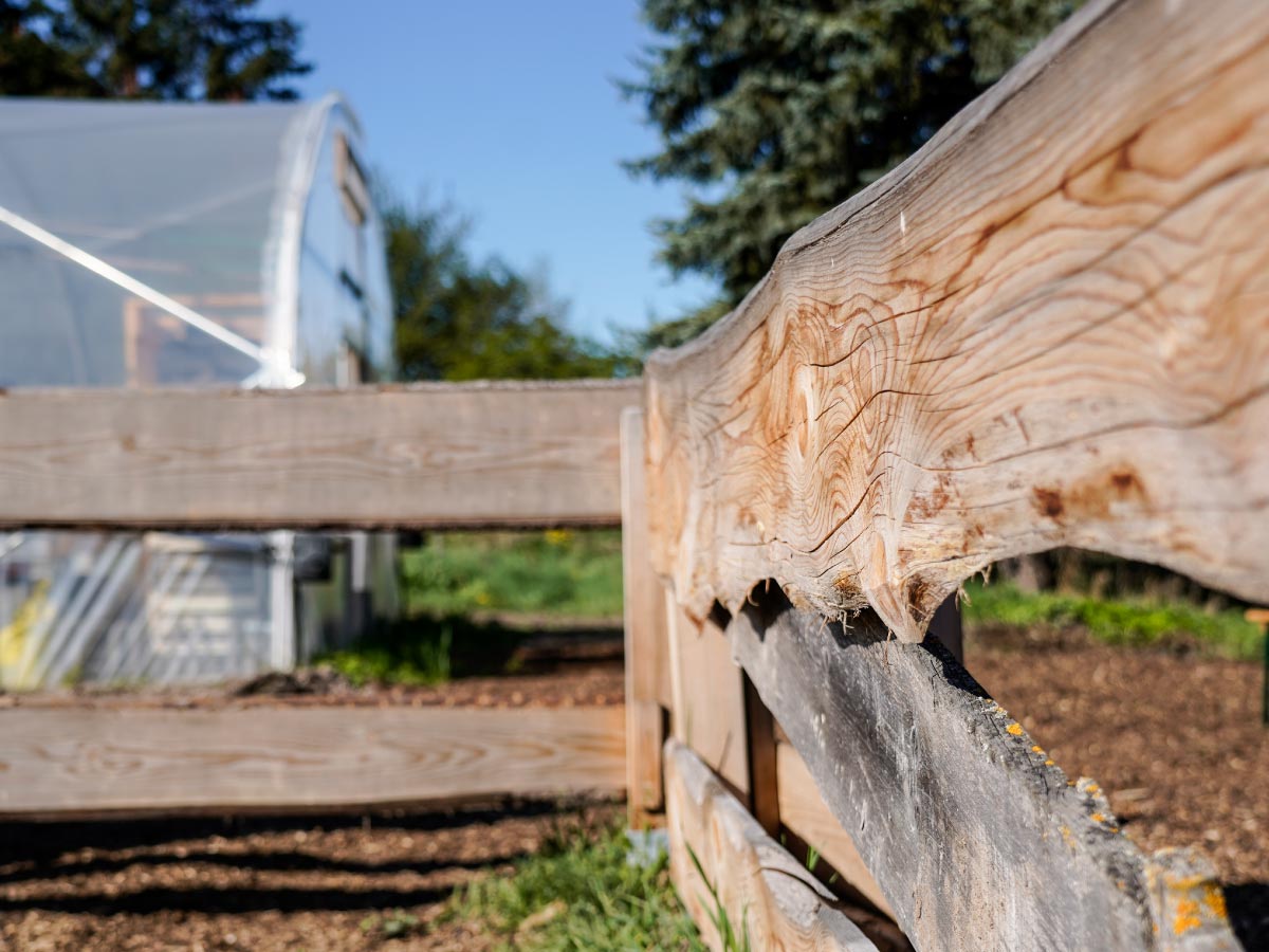 brunnenkresse-workshop-kressepark-erfurt-7