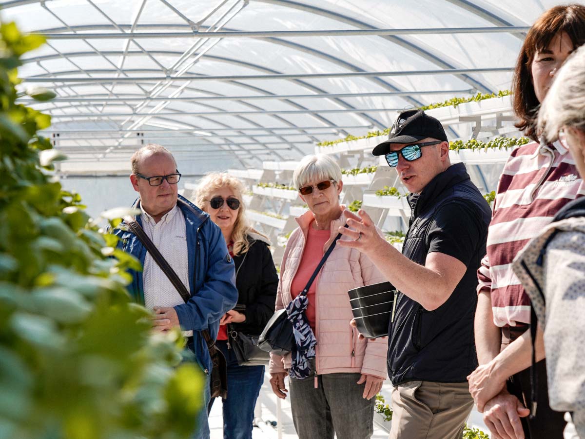 brunnenkresse-workshop-teamevent