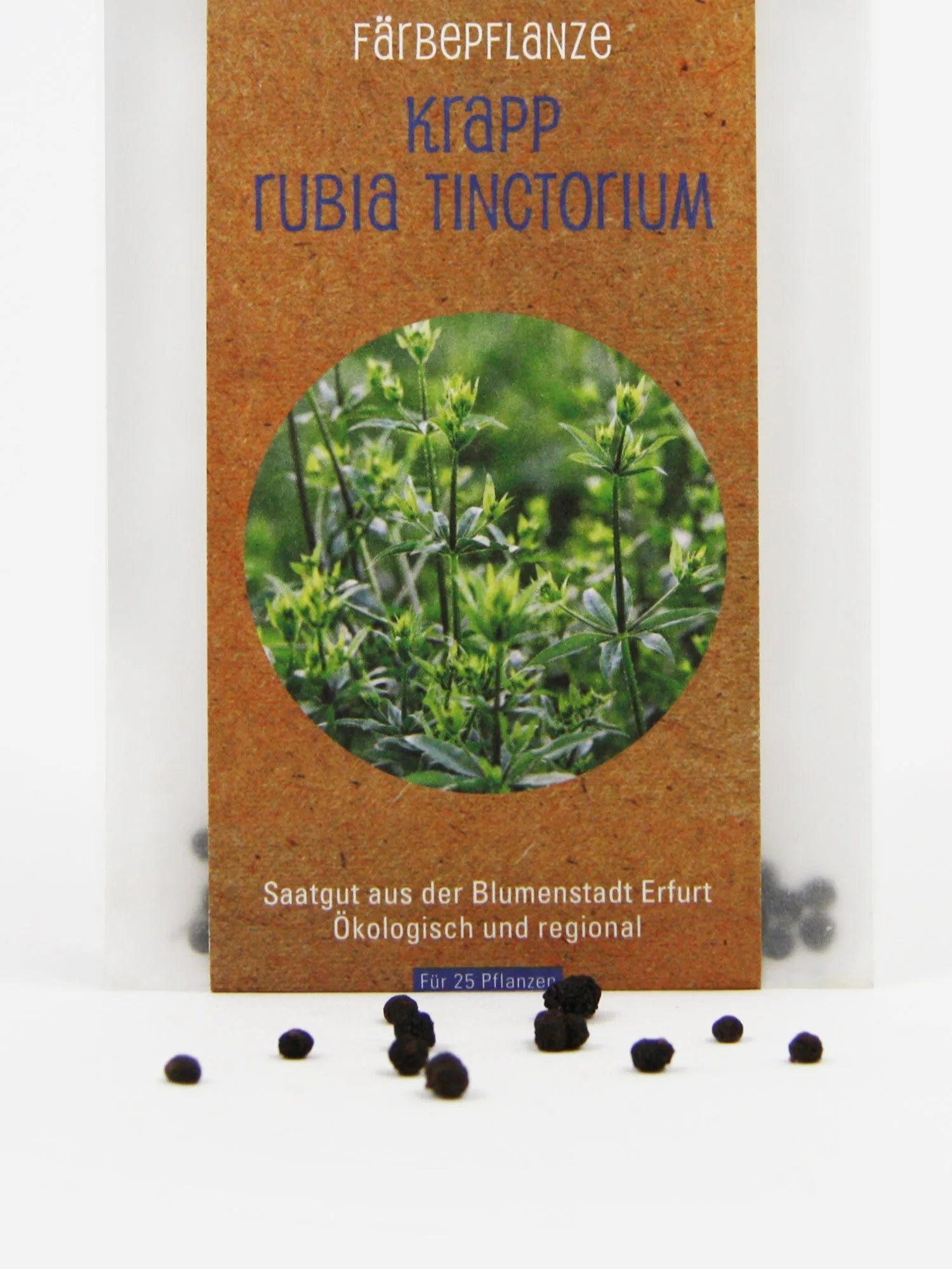 Ökologisches und regionales Saatgut Krapp Rubia Tinctorium von Rose